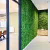 Groen in de ruimte - Afbeelding 4