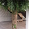 Groen in de ruimte - Afbeelding 6