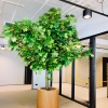 Groen in de ruimte - Afbeelding 10