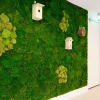 Groen in de ruimte