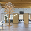 EduTree - Afbeelding 6