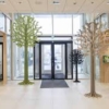 EduSpruce Denneboom - Afbeelding 11