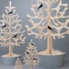 EduSpruce Denneboom - Afbeelding 7
