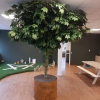 Groen in de ruimte - Afbeelding 5