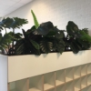 Groen in de ruimte - Afbeelding 11