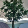 Groen in de ruimte - Afbeelding 8