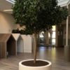 Groen in de ruimte - Afbeelding 7