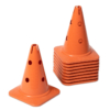Pionnen - 30cm koraal