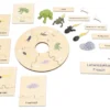 Levenscyclus Combipakket 9-delig - Afbeelding 3