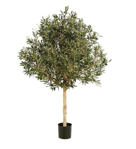 Olijfboom 210cm - Afbeelding 4