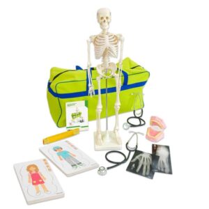 Kleuter Lichaam Set met een skelet, stethoscoop, tandenmodel, kaarten en een groene tas voor leren over het menselijk lich...