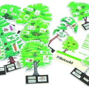 Educatief materiaal met afbeeldingen van verschillende boomsoorten en bijbehorende labels voor thematisch onderwijs.