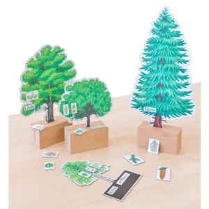 Drie houten standaarden met kleurrijke bomen en bijbehorende labels over bladeren, vruchten en bloemen.