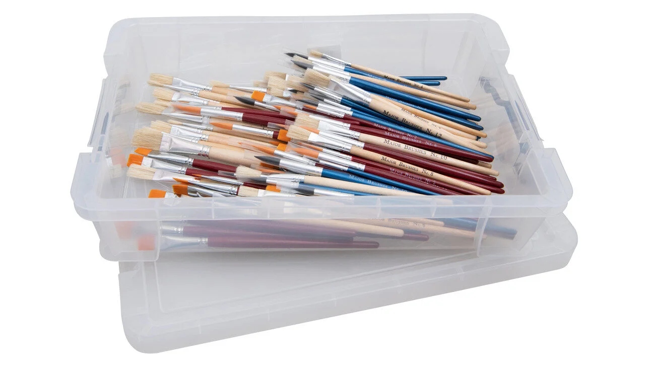 Set van 110 penselen in een doorzichtige doos, variërend in grootte en type, geschikt voor diverse creatieve projecten.
