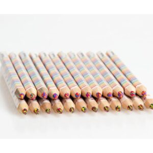 Regenboog potloden in een set van 32, met vier kleuren per potlood voor unieke kleureffecten.