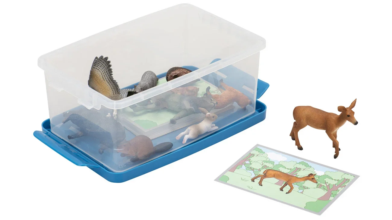 Bos Dieren Spel met plastic dierenfiguren en een speelkaart in een doorzichtige opbergdoos.