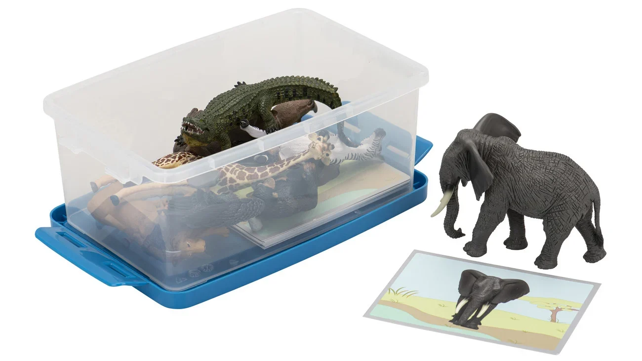 Dieren Toewijs Spel met plastic dierenfiguren en kaarten in een doorzichtige opbergdoos.