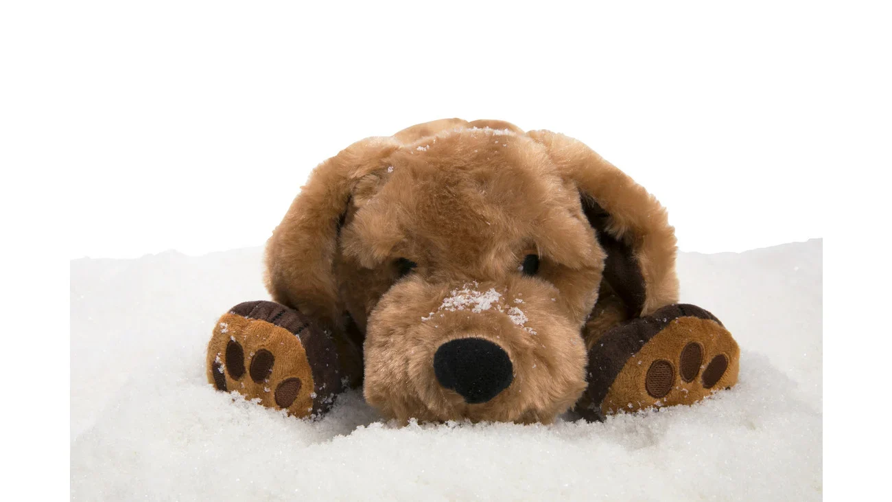 Therapie knuffel hond met kalmerend gewicht, zacht en knuffelig, ligt op een witte ondergrond.