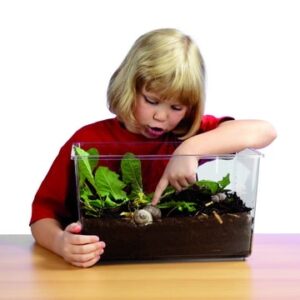 Kind met een doorzichtig insectenhotel, gevuld met aarde en planten, wijst naar een slak binnenin.