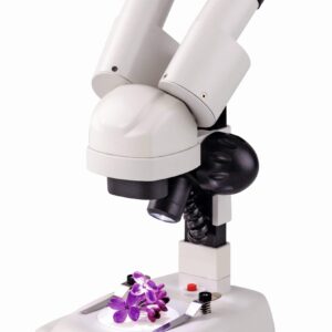 Stereomicroscoop met dubbele lenzen en verlichtingsfunctie, gericht op educatief gebruik en driedimensionale objectweergave.