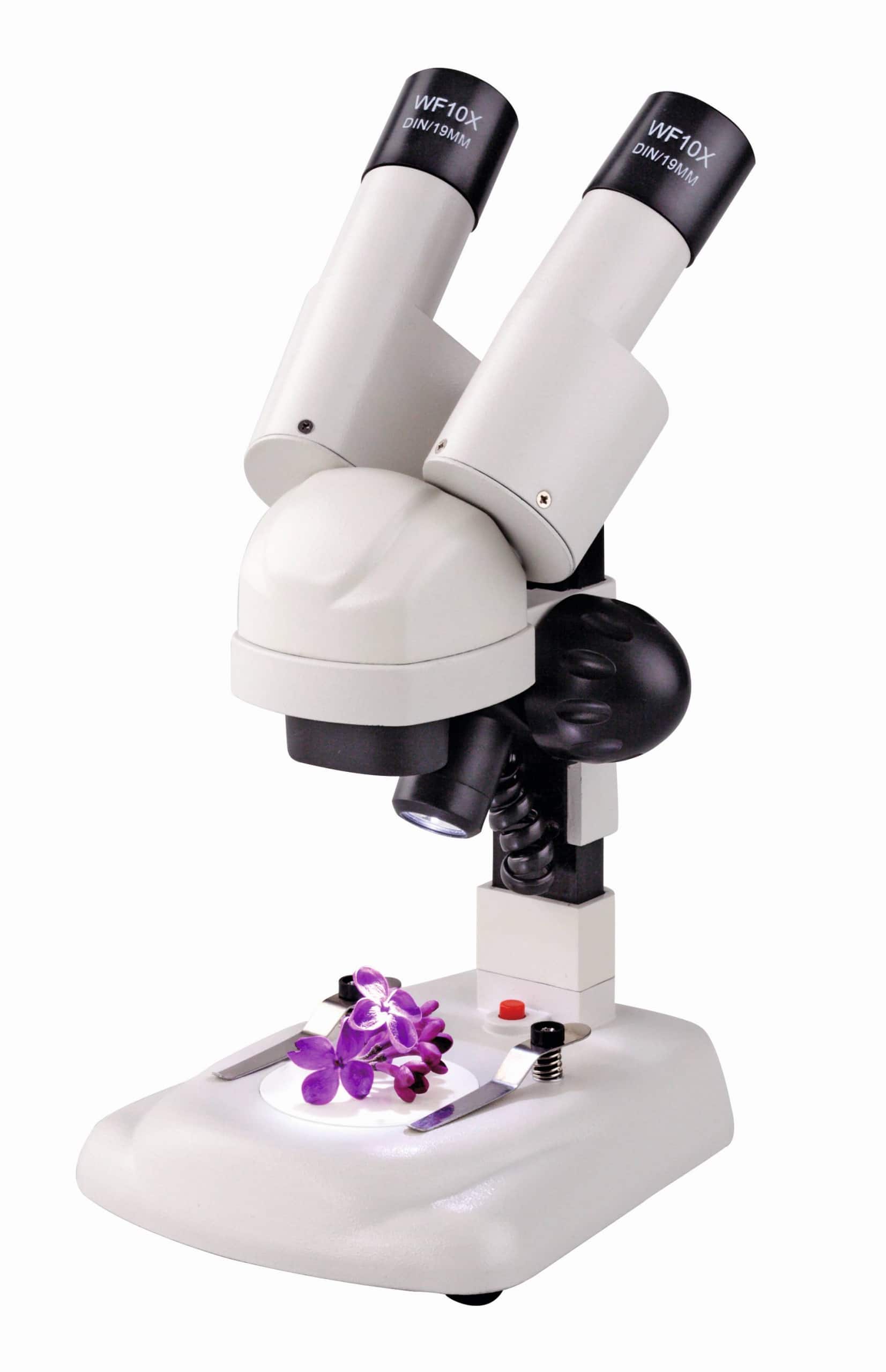 Stereomicroscoop met dubbele lenzen en verlichtingsfunctie, gericht op educatief gebruik en driedimensionale objectweergave.