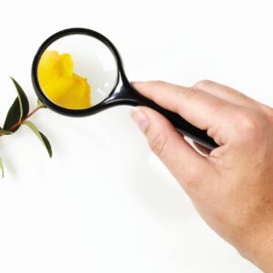 Grote steelloep in hand, vergroot een gele bloem en bladeren, ideaal voor het ontdekken van details in de natuur.