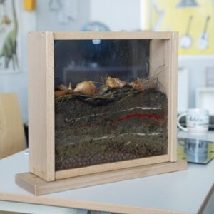 Transparante observeerboerderij met verschillende lagen aarde, insecten en planten, ideaal voor natuuronderwijs.