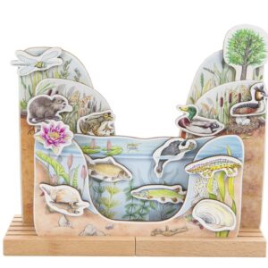 3D-model van vijverzones met dieren en planten, zoals vissen, kikkers, en waterlelies, op een houten standaard.