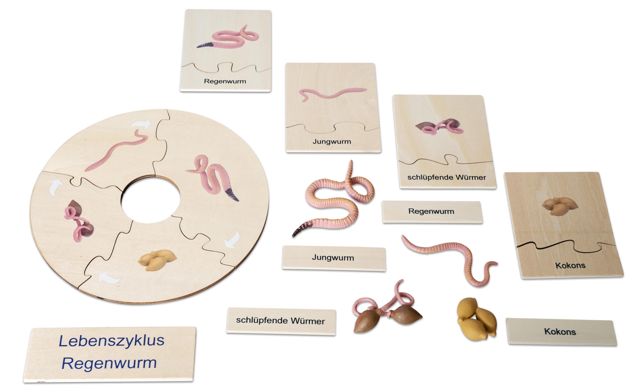 Levenscyclus regenworm puzzel met houten stukken en afbeeldingen van wormen en cocons. Educatief speelgoed voor kinderen.