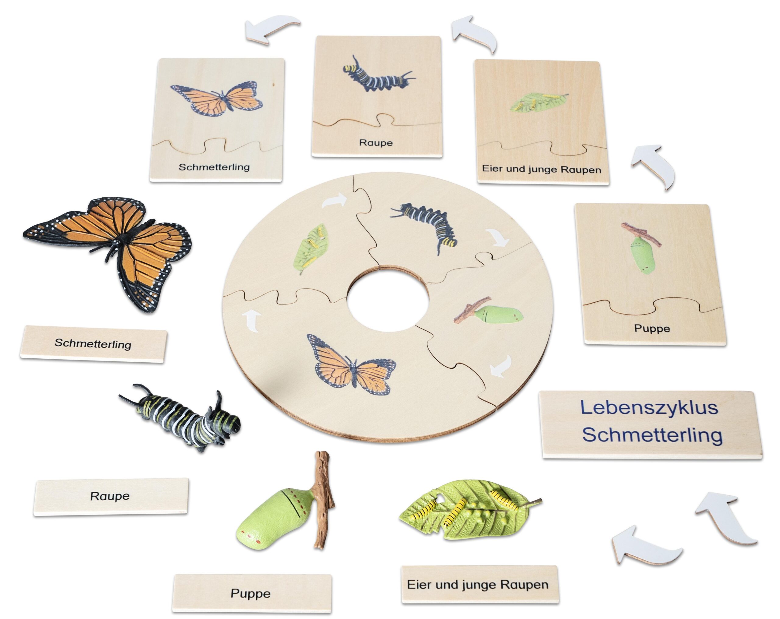 Levenscyclus vlinder puzzel met houten stukken van eitjes, rupsen, poppen en vlinders in verschillende stadia.