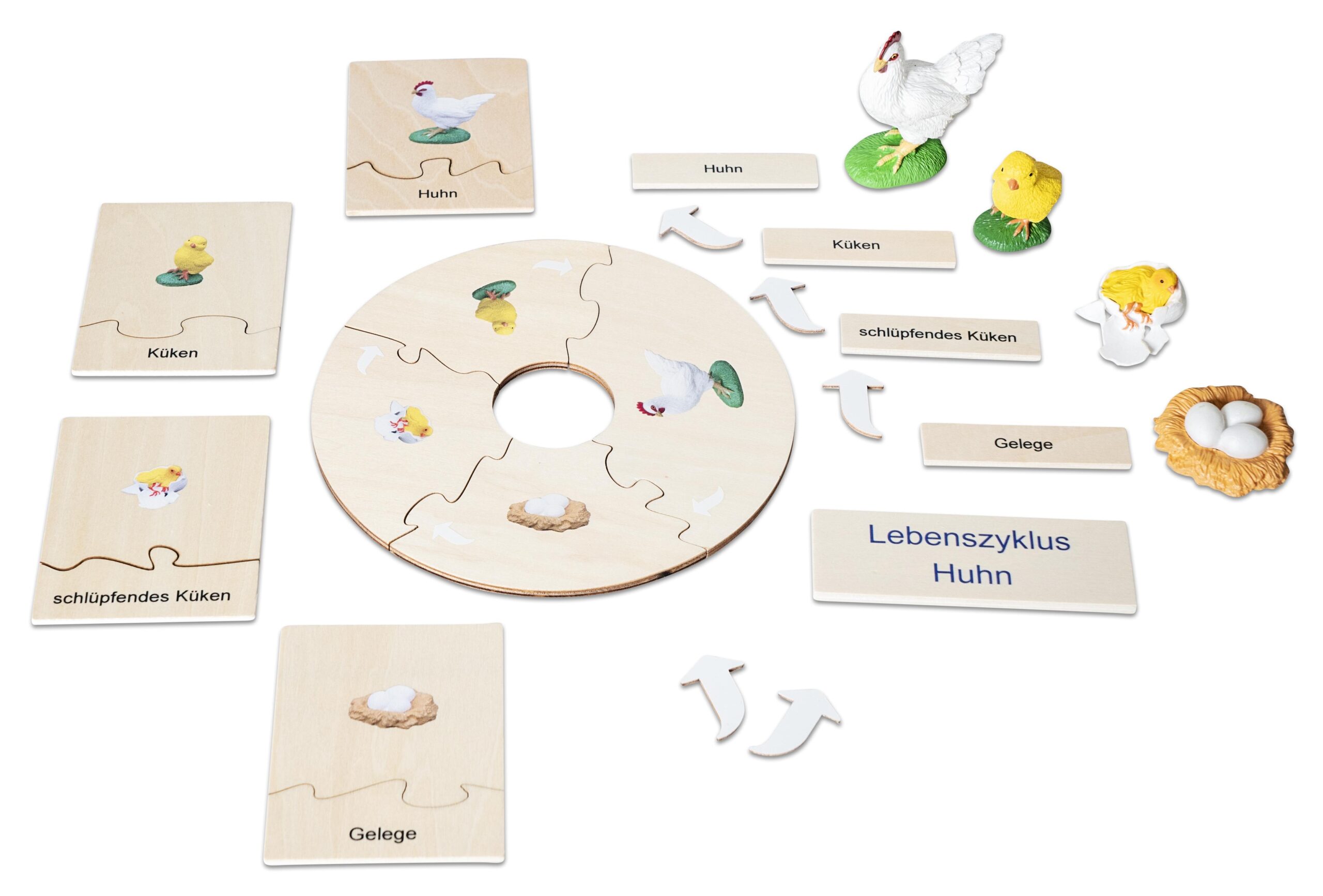 Levenscyclus Kip puzzel met houten onderdelen, afbeeldingen van kippen, kuikens en eieren, inclusief instructies.