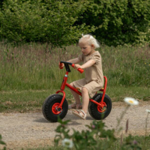 Middelgrote ROSE loopfiets met ballonbanden, houten zitting en metalen frame, gebruikt door een kind op een pad.