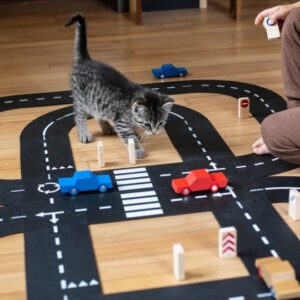 Speelmat met verkeersbaan, houten autos en verkeersborden, met een kitten die eroverheen loopt.