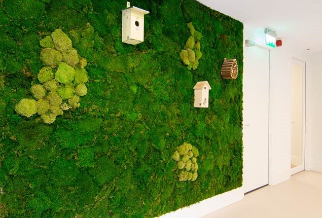 Groene wanddecoratie met mos, vogelhuisjes en natuurlijke elementen voor een frisse leeromgeving in het klaslokaal.